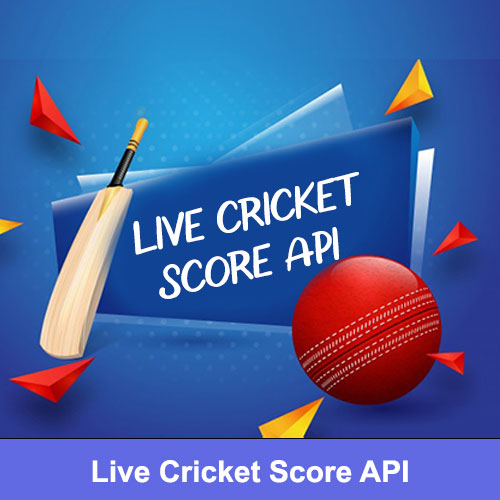 Get the Cricket Scores Live with Ease by Accessing live cricket score API 